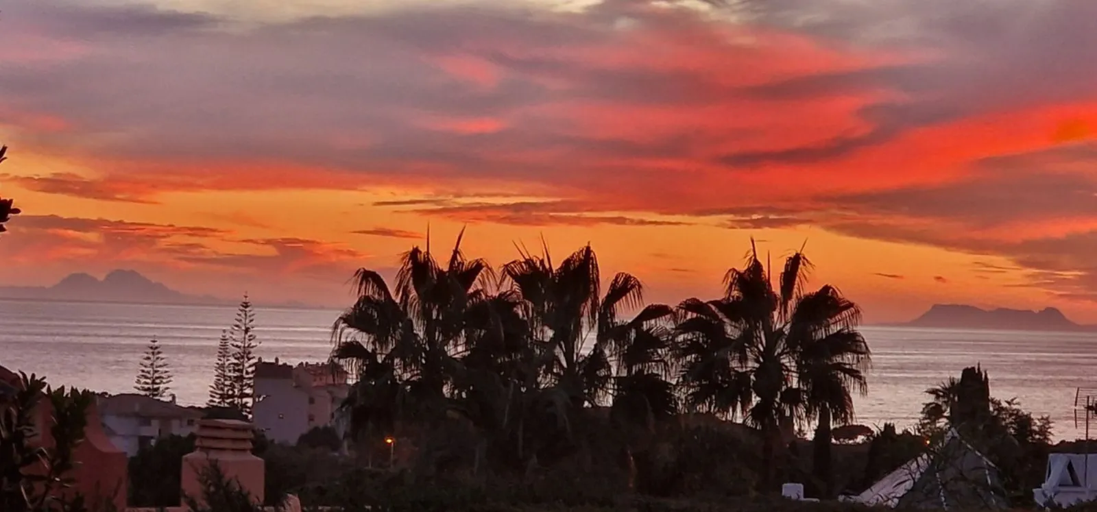 Una esquina con jardín en Tobago · fotografía 2