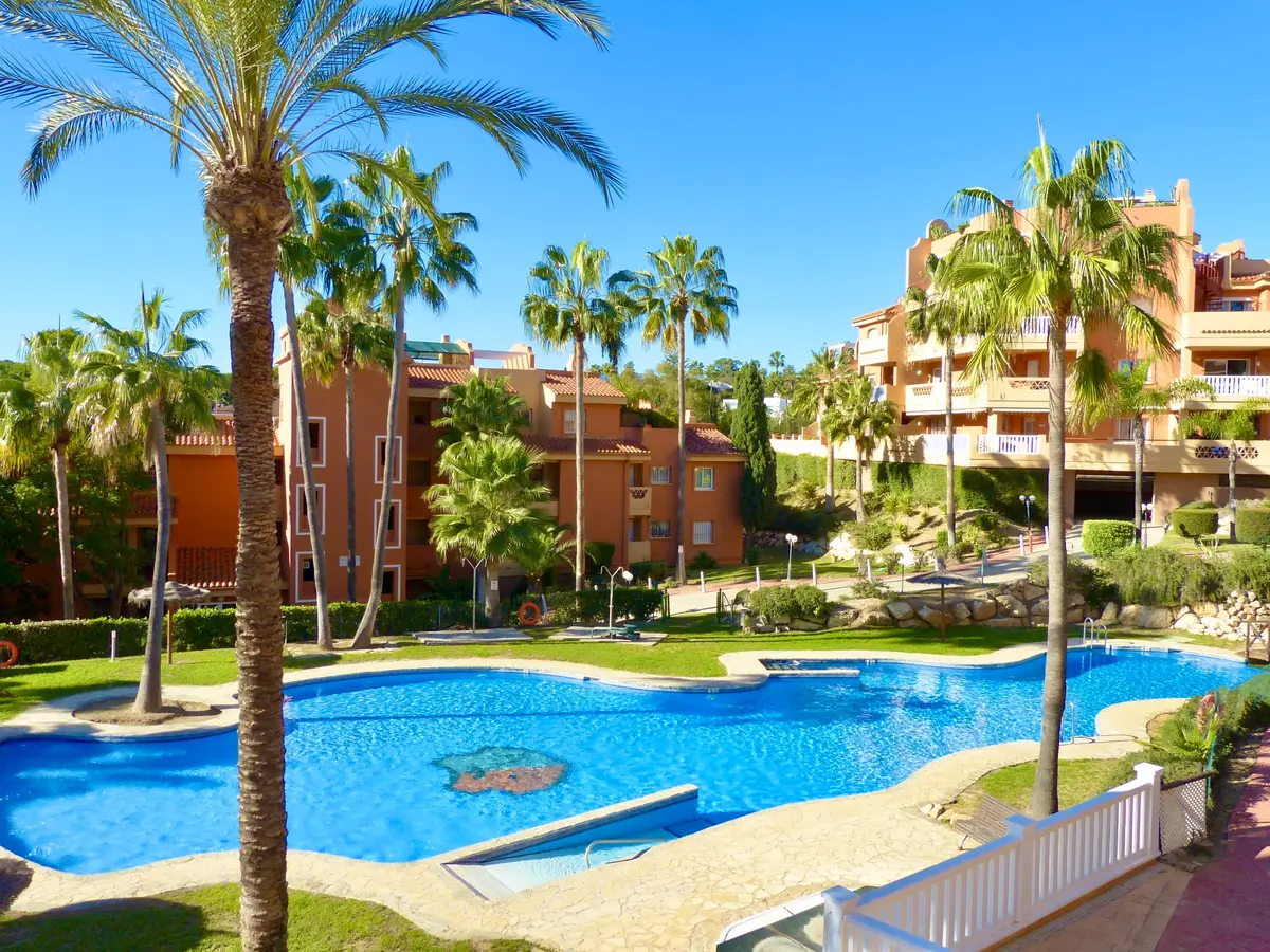 Palmeras, jardines y piscina de Amatista